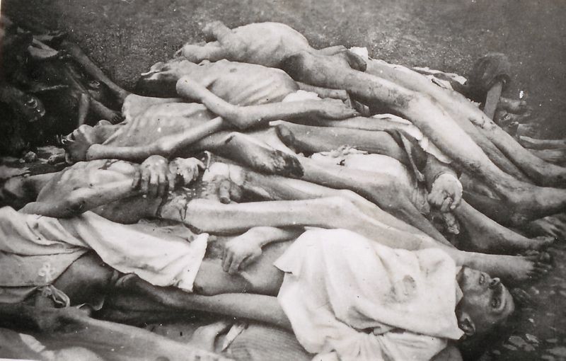 Buchenwald 29